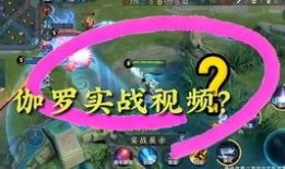 伽罗特效爆料视频大全集,揭秘游戏视觉盛宴背后的精彩瞬间