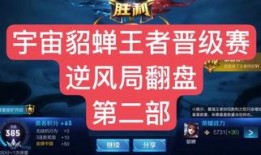 阿宝王者爆料视频下载安装,揭秘最新游戏下载安装攻略