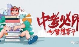 向阳小学爆料视频最新消息,揭秘校园内幕，真相令人震惊！